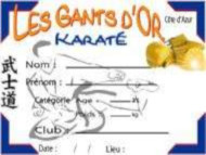 gants d'or diplôme karaté