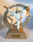 Trophée Karaté Gants d'OR