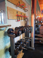 musculation haltères
